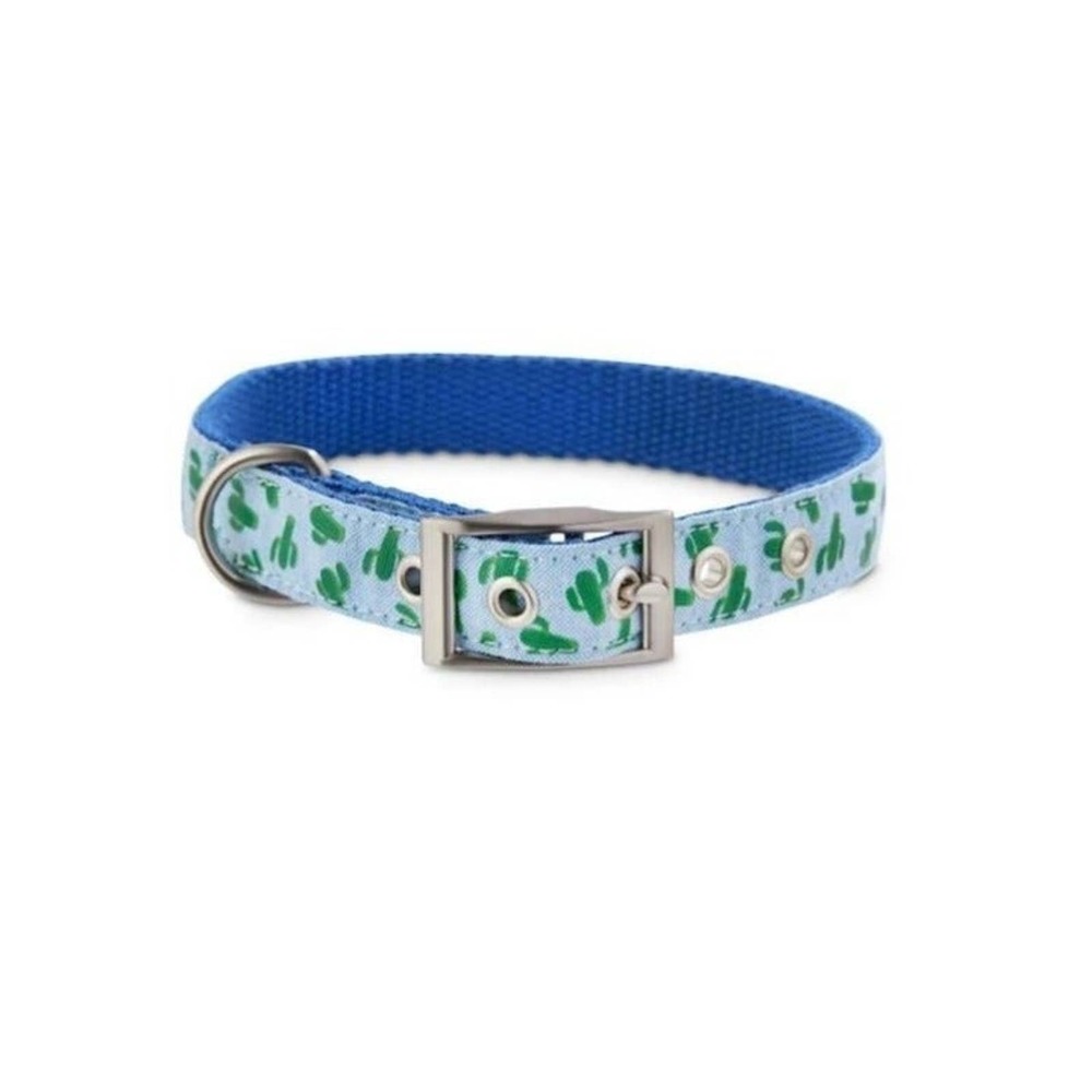L Large XL new Bond & Co Cosmo Cactus succulent Dog puppy Collar